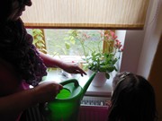 Zaléváme květiny ve školce